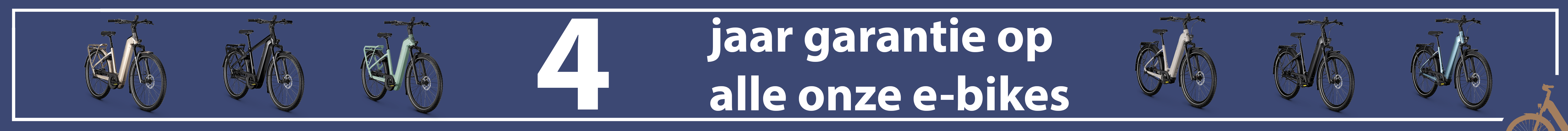 /image/data/Website foto`s/4 jaar garantie.png